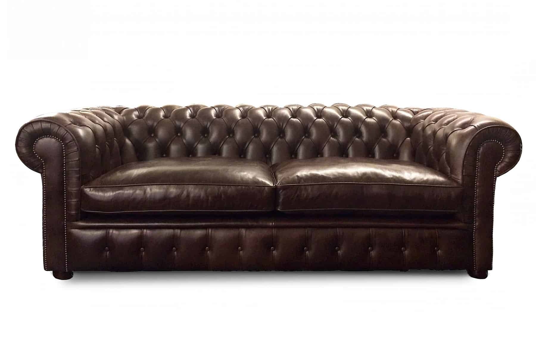 prince of wales brwn facing