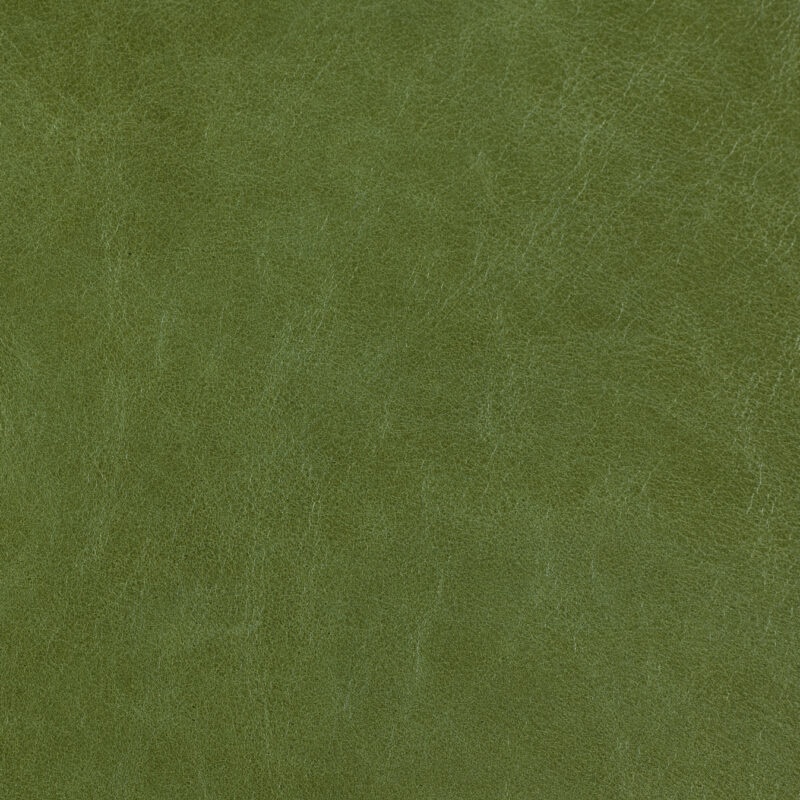 Old English Cardomom Seed e1698514842803