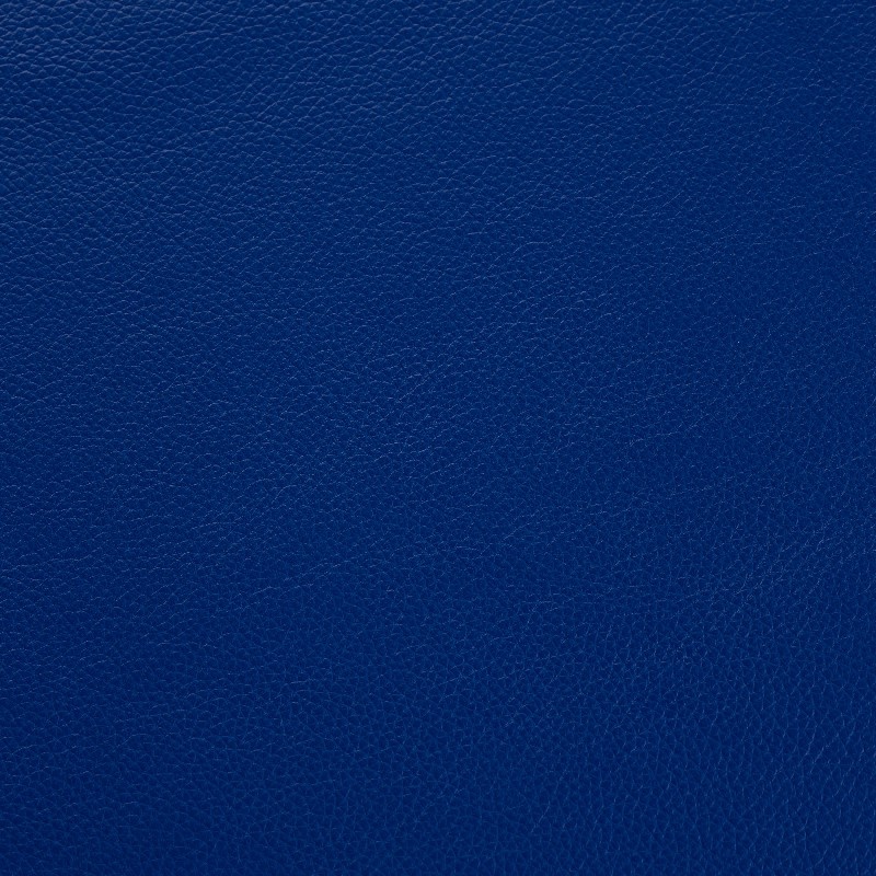 SHELLY DEEP ULTRAMARINE