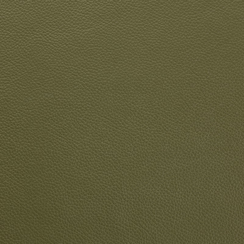 SHELLY MOUNTAIN TREE