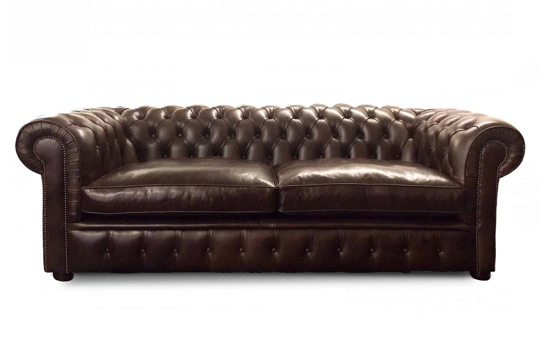 prince of wales brwn facing