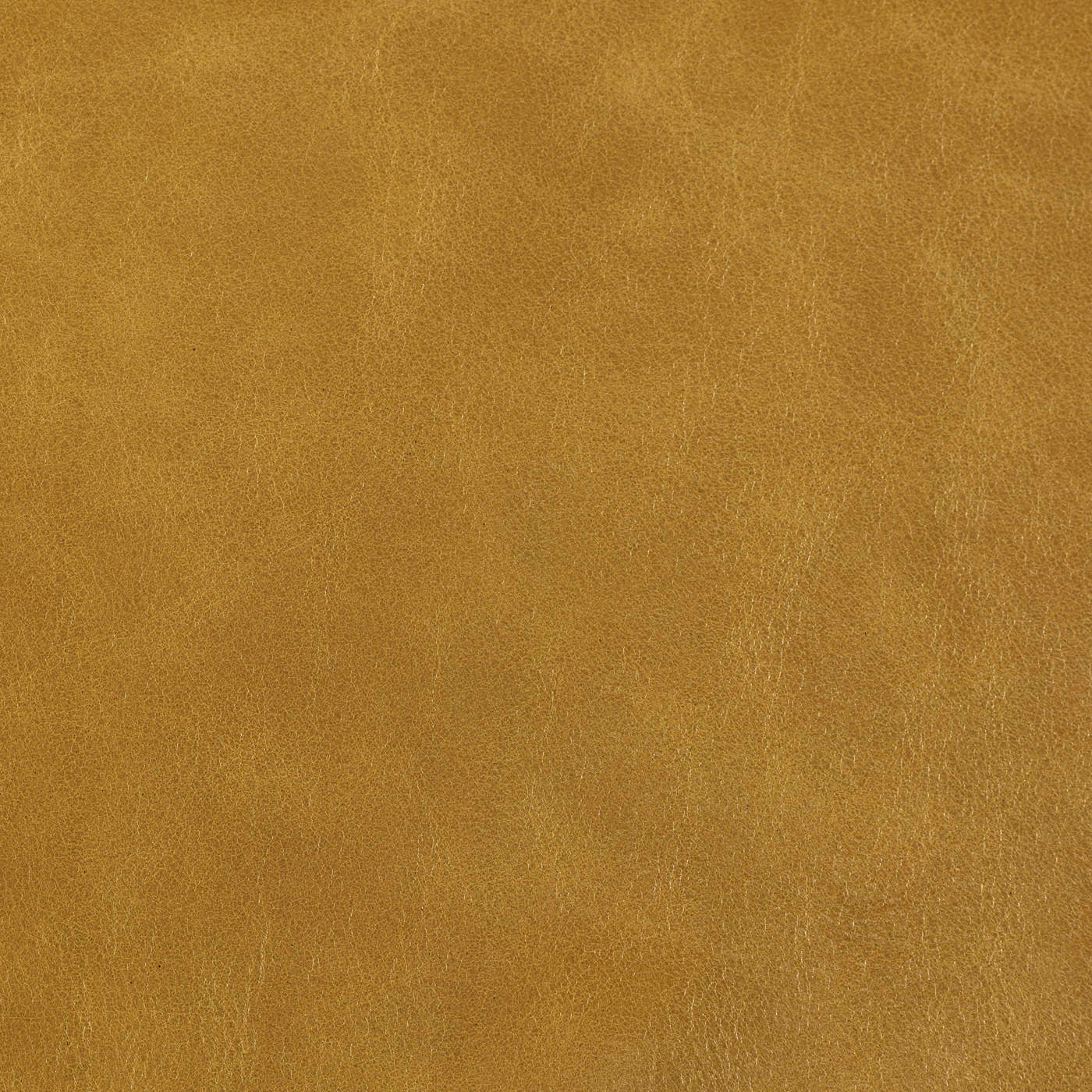 NEWMAN & BRIGHT | Gatsby Show-Wood Sofa Old English Daffodil