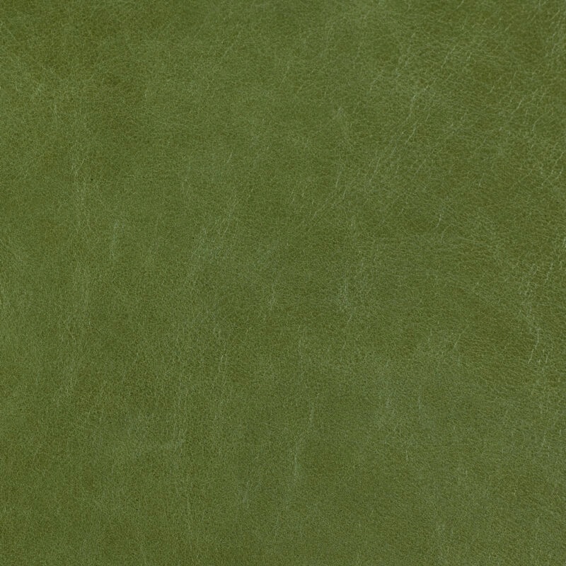 Old English Cardomom Seed e1698514842803