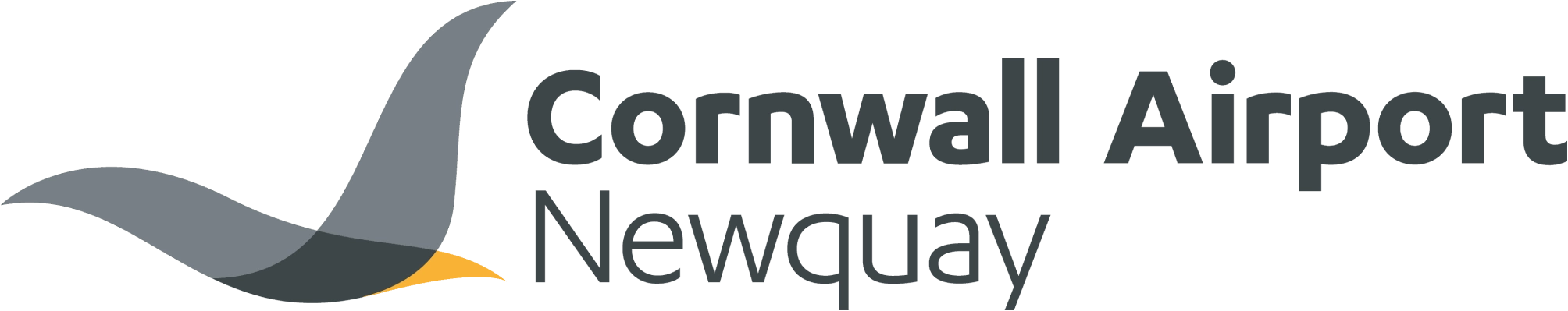 newquay airport logo