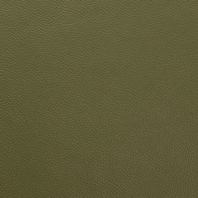 SHELLY MOUNTAIN TREE